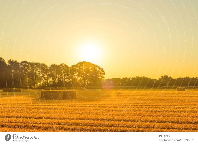 Round bales of straw in a meadow in a hilly landscape. Álava Province,  Basque Country, Spain - a Royalty Free Stock Photo from Photocase