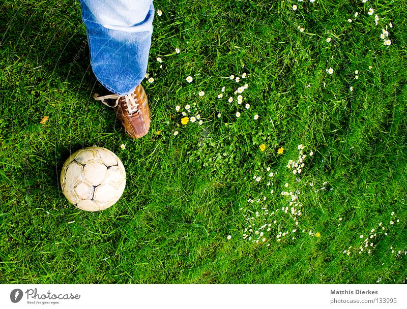 Incorrect equipment Ball sports Summer Meadow Daisy Plant Green Green undertone Pants Jeans Footwear Leather shoes Soccer Leisure and hobbies Spontaneous Sports