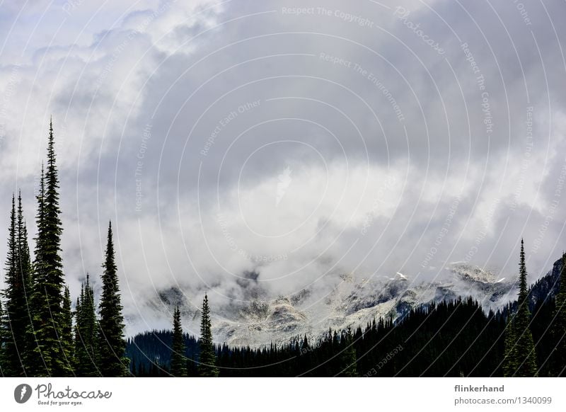 cloud covers Nature Landscape Climate Bad weather Fog Mountain Peak Snowcapped peak Canada Rocky Mountains North America Far-off places Clouds Colour photo