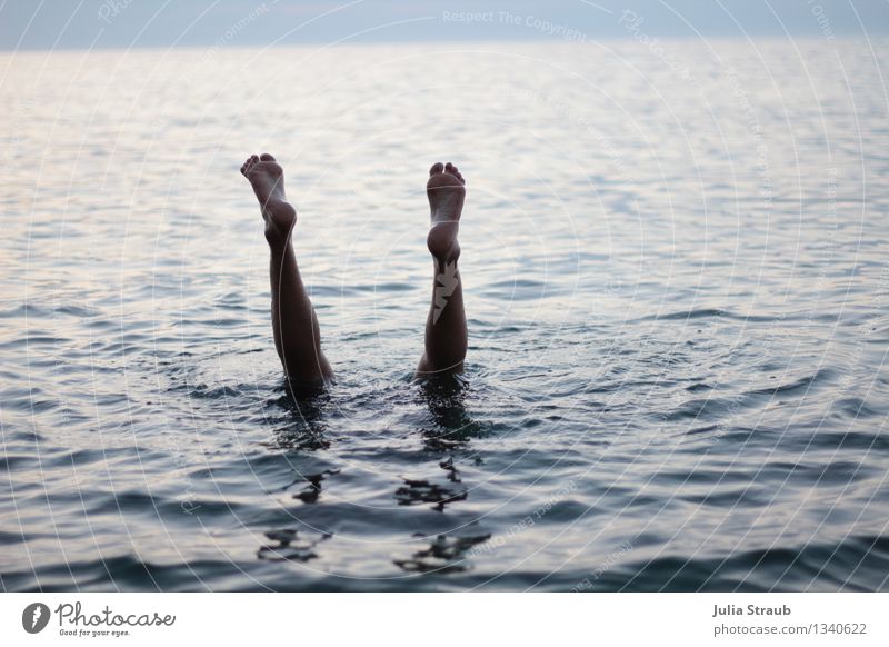 go underground Masculine Legs Feet 1 Human being 30 - 45 years Adults Water Summer Ocean Swimming & Bathing Blue Black Dive Go crazy Exterior shot Twilight