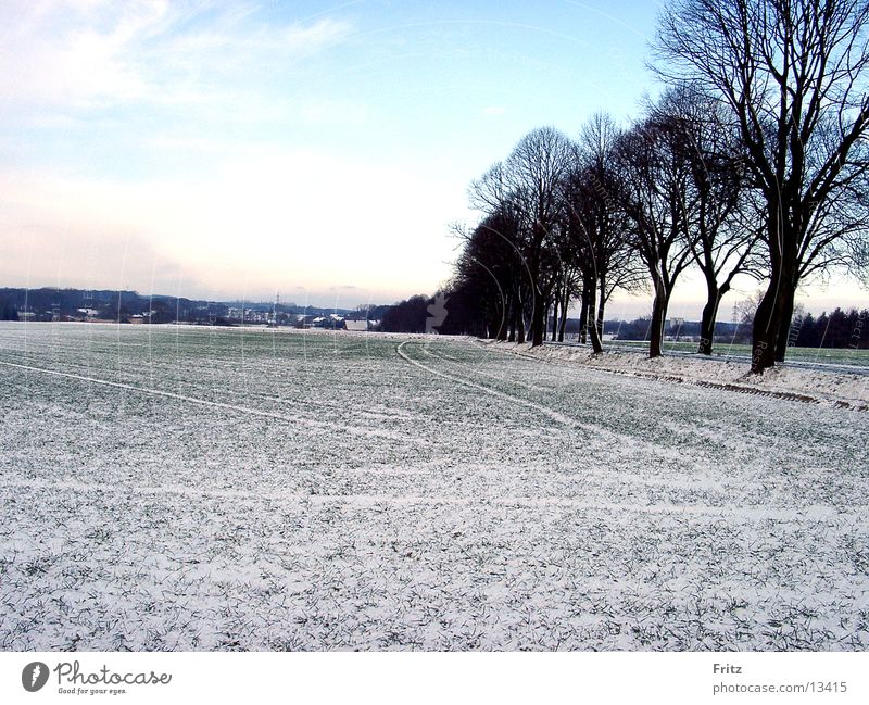 field-in-winter Field Winter Snow