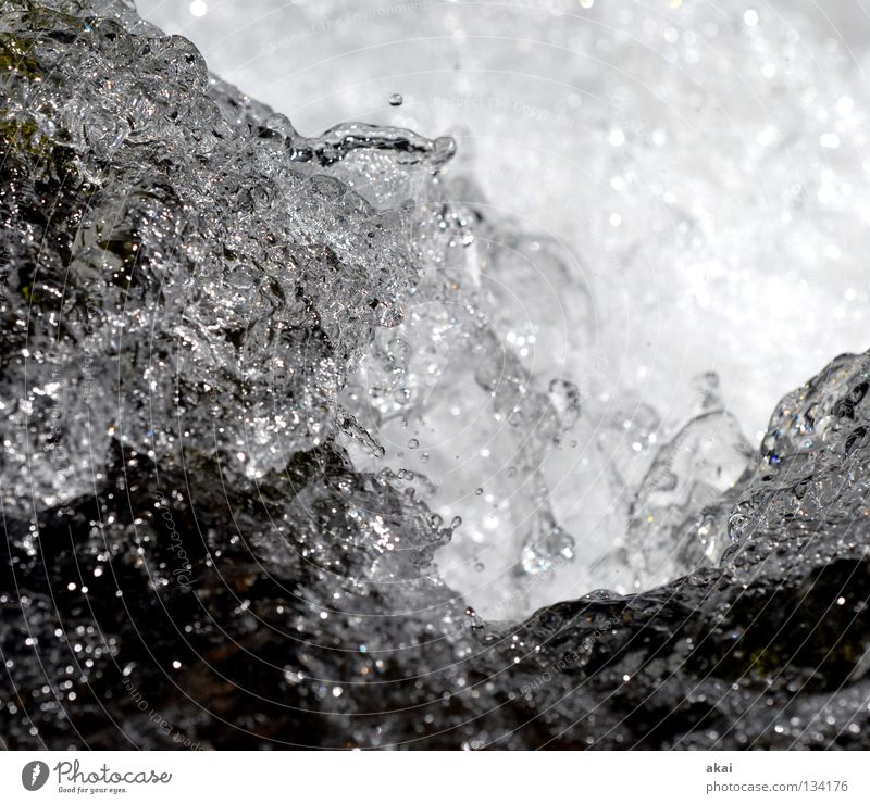 Wet Mountain stream Brook Effervescent White crest Cold Reflection River Water Waterfall Inject Black & white photo Drops of water Splash of water Close-up