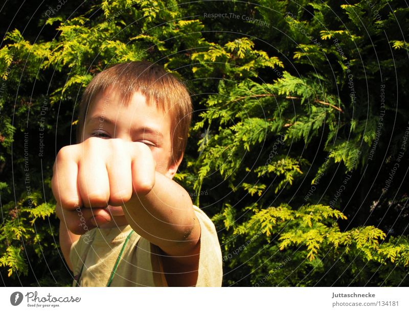 Cassius Clay Boy (child) Child Beat Fight Fist Hand Strong Martial arts Communicate Boxer Loudspeaker feint Light (Natural Phenomenon) Garden Juttas snail