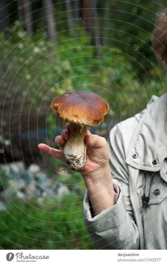 Found, Beautiful stone - mushroom that a woman's hand holds up in the hand. Mushroom Vegetarian diet Happy Healthy Eating Contentment Trip Hiking Feminine