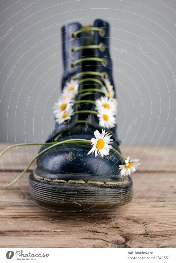 Boots with goose florets Flower Footwear Original Beautiful Blue Yellow Black lady's boots Heavy Daisy straps laced Converse Shoelace Colour photo Interior shot