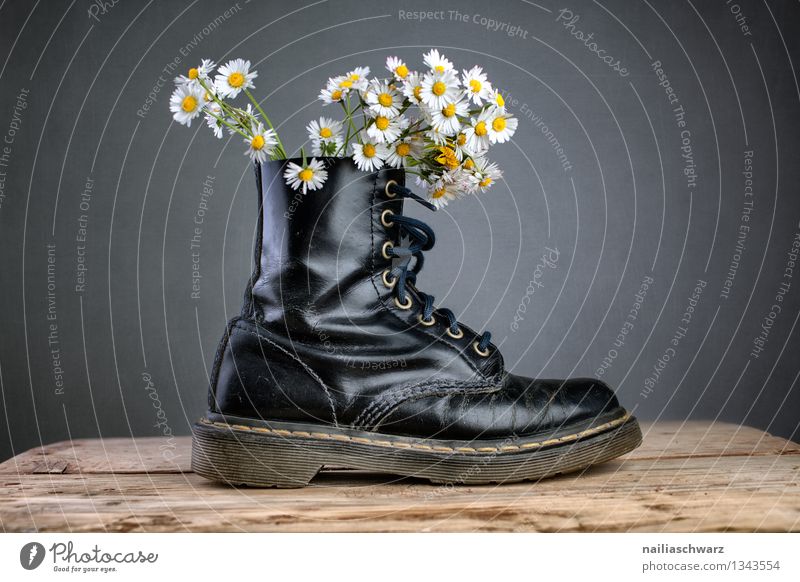 Boots with goose florets Plant Flower Blossom Wild plant Fashion Footwear Exceptional Simple Hip & trendy Beautiful Funny Natural Original Positive Blue Yellow