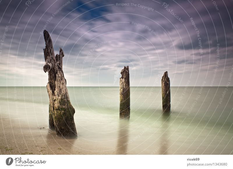 Baltic coast Beach Ocean Nature Landscape Water Clouds Coast Baltic Sea Old Blue Romance Idyll Calm Break water Sky Mecklenburg-Western Pomerania BUK