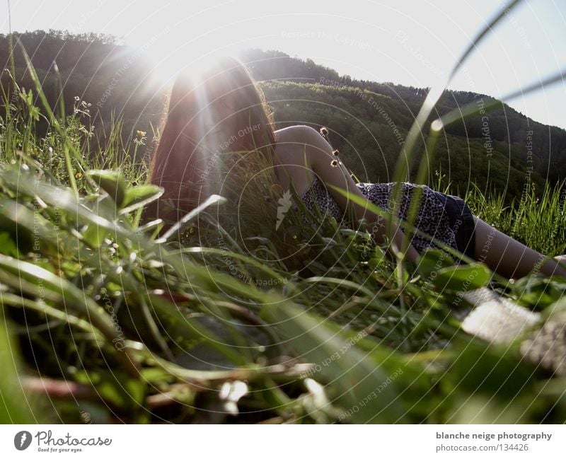 ...would you lie with me and just forget the world? Woman Sunbeam Spring Meadow Field Grass Relaxation To enjoy Switzerland Visual spectacle Self portrait
