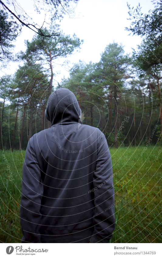 approaching in the autumn Human being Masculine Back 1 Authentic Hooded (clothing) Forest Folds Gray Forest walk Grass Growth Meditative Cold Cloth Autumn Arm