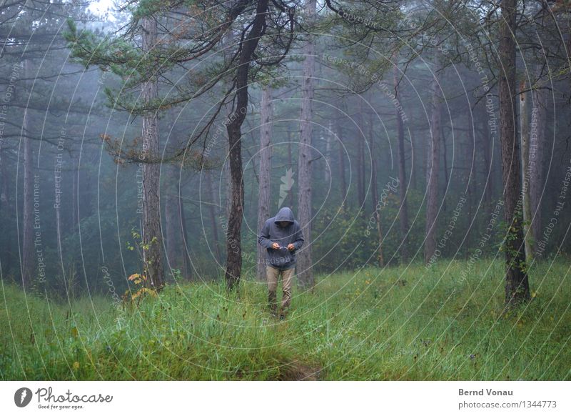 Glasses? Human being Masculine Man Adults 1 45 - 60 years Environment Nature Plant Tree Grass Forest Pedestrian Emotions Moody Calm Loneliness Hiking