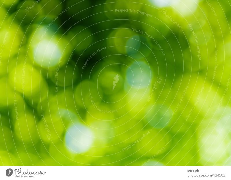 Green Spots Colour Dye Multicoloured Circle Shallow depth of field Blur Patch Speckled Illuminate Lighting Glittering Round Point Point of light Soft