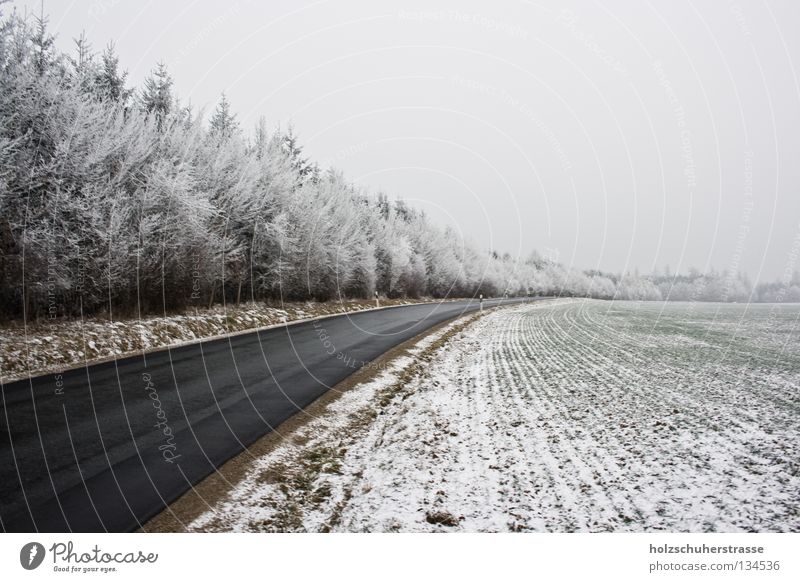 Franconia - 03 Winter Cold Field Dreary Calm Exterior shot Wide angle Tree Forest Peace Brown Franconian Switzerland Speed Snow Hoar frost Landscape