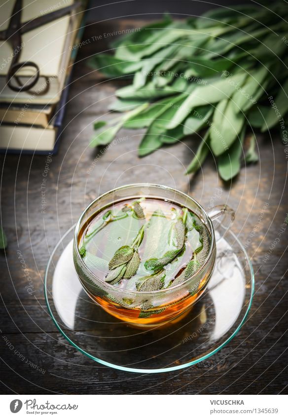 Herbal tea with fresh sage leaves Herbs and spices Beverage Hot drink Tea Cup Style Alternative medicine Healthy Eating Life Cure Flat (apartment) Table Design