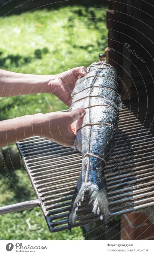 Raw salmon fish on grill. Meat Seafood Dinner Garden Fresh Pink Red Salmon Plank Cedar Fine Roasted Ready Cooking Exterior shot Close-up Fish Grill Hand String