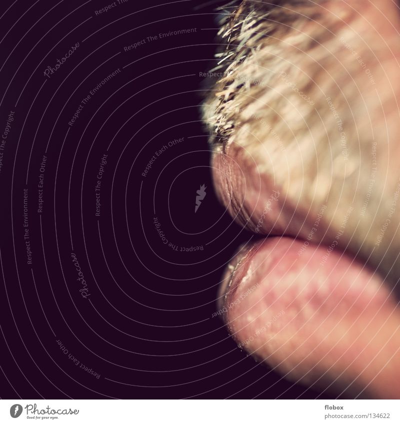 Body Parts I Facial hair Moustache Upper lip Lower lip Lips Beard hair Rough Organ Blur Enlarged Close-up Unshaven Masculine Man Thorny Macro (Extreme close-up)