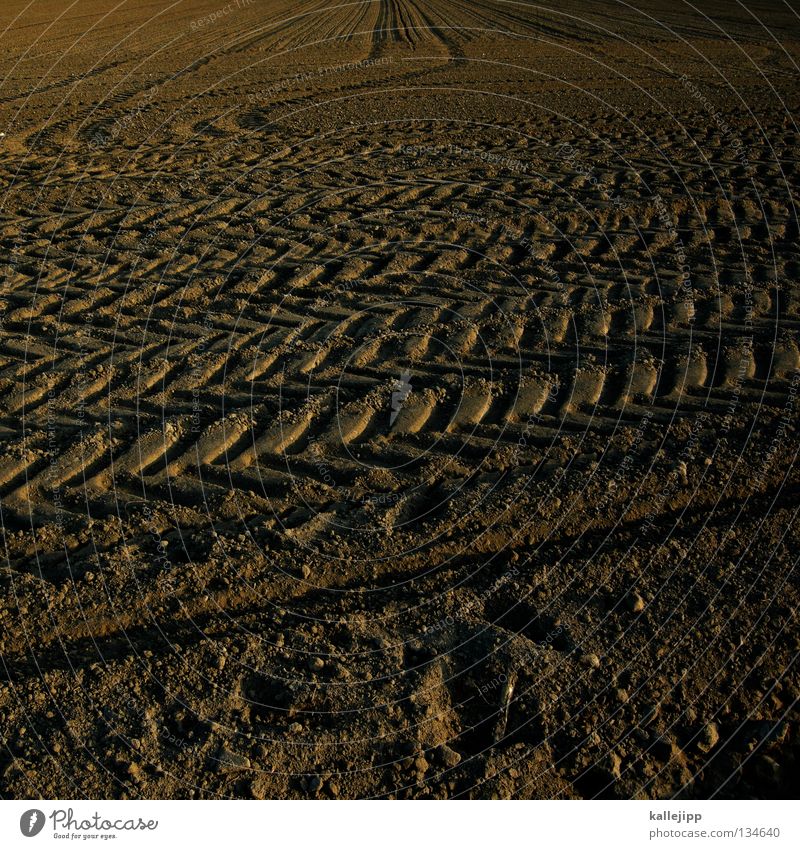 marsrover Field Agriculture Structures and shapes Tracks Skid marks Footprint Investigation Research Find Planet Sowing Dry Disaster Collective farm