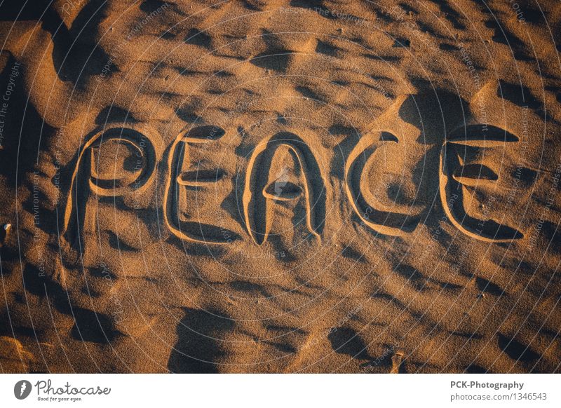 peace Nature Sand Spring Summer Autumn Friendliness Beautiful Brown Yellow Gold Joy Sympathy Goodness Grateful Truth Humble Peace Happy Help Hope Peaceful Sign