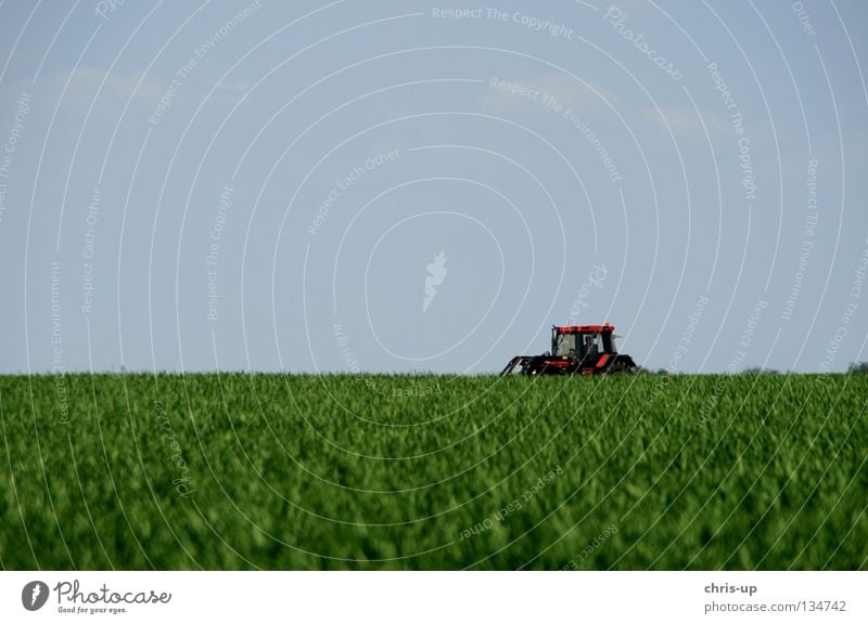 tractor, field, sky Tractor Field Agriculture Vegetable farming Organic farming Ecological Utility vehicle Beautiful Pure Tree Minimalistic Blue Green Brown