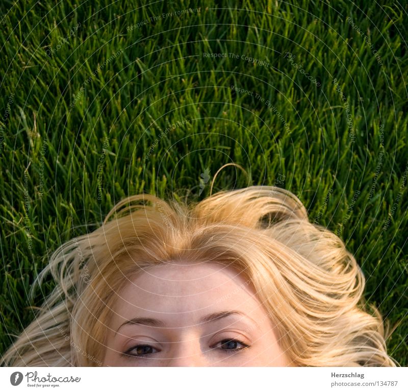 I can see you Meadow Green Grass Blonde Bird Summer Anna Hair and hairstyles Eyes Observe Skin Perspective