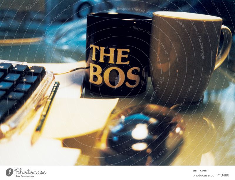 The Boss at work Work and employment Cup Pencil Office Desk MAC keyboard MAC mouse Business