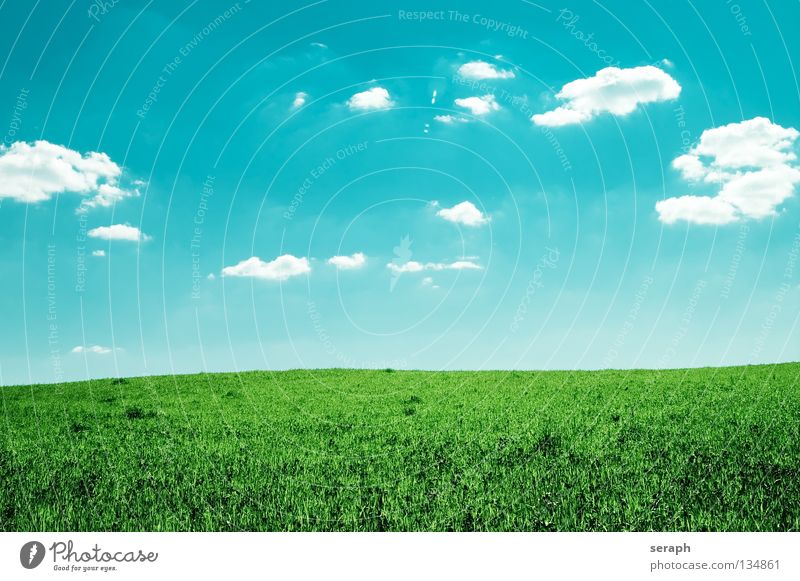 Easiness Background picture Meadow Field Sky Clouds Lawn Nature Grass Landscape Flower meadow Freedom Far-off places Agriculture Horizon Minimalistic Natural
