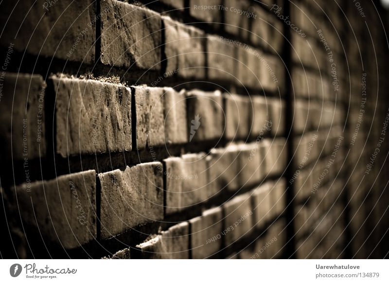 Walls of Jericho Wall (building) Wall (barrier) Brick Hard Cold Dark Barrier Captured Blur Massive Cellar Facade Safety Stone Pain Gloomy Old Emotions Death