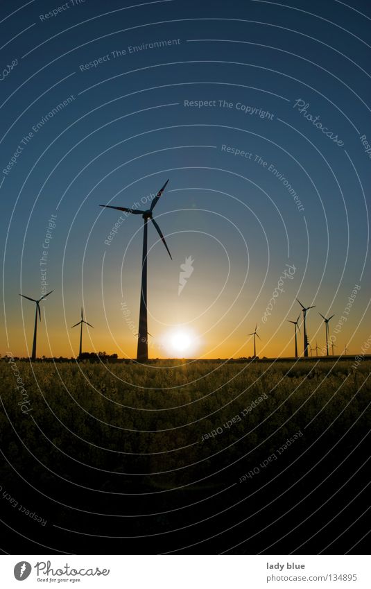 mill twilight Sunset Canola Canola field Twilight Mill Calm Dark Yellow Stagnating Summer Environment Leisure and hobbies Electrical equipment Technology Wind