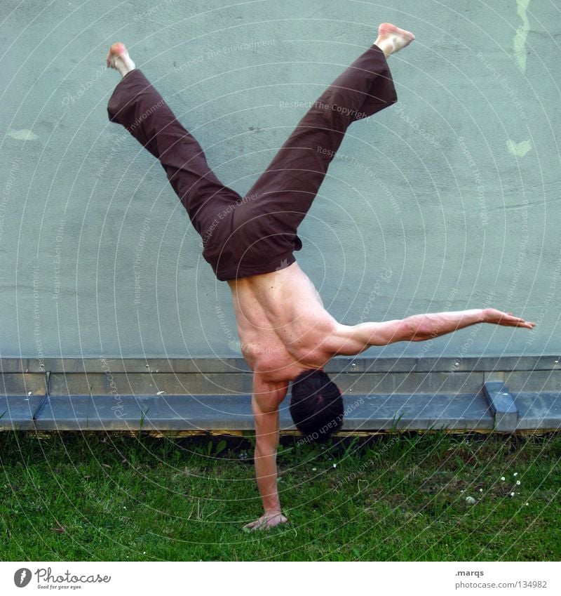 balance Man Fellow Handstand Concentrate Contentment Stand Acrobatics Gymnastics Capoeira Sports Musculature Posture Boast Human being Guy boy Skin Power Back