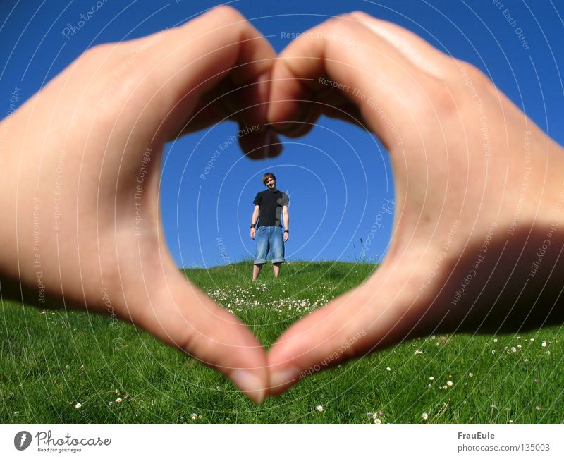 summer love Meadow Man Hand Fingers Love Flower Green Longing Stand To hold on Relationship Loving relationship Romance Summer Heart Human being flowers Sky