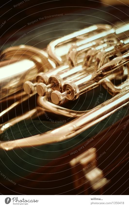 Valves of musical instrument, brass instrument, bow horn Music Musical instrument Brass instrument euphonium baritone horn bugle Tuba instrument cases Gold