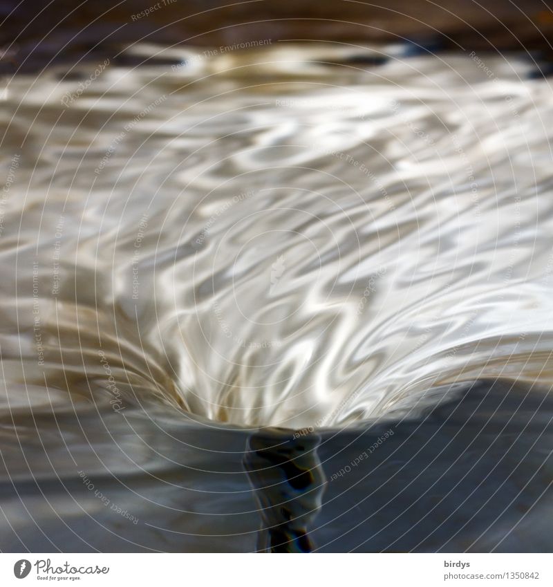 water vortex Water Movement Rotate Esthetic Exceptional Fluid Wet Positive Energy Life Nature Transience Growth Change Whirlpool Spiral Rotation Transparent