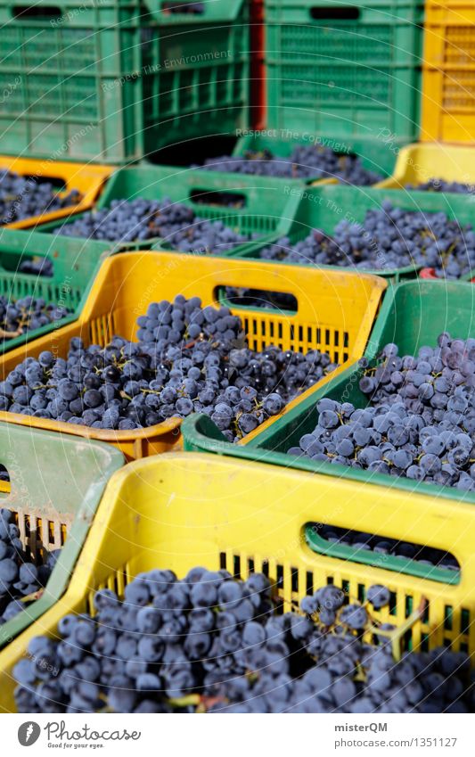 Sangiovese II Art Work of art Esthetic Vine Wine growing Bunch of grapes Grape harvest Winery Harvest Crate Box up Many Blue Stack Colour photo Multicoloured