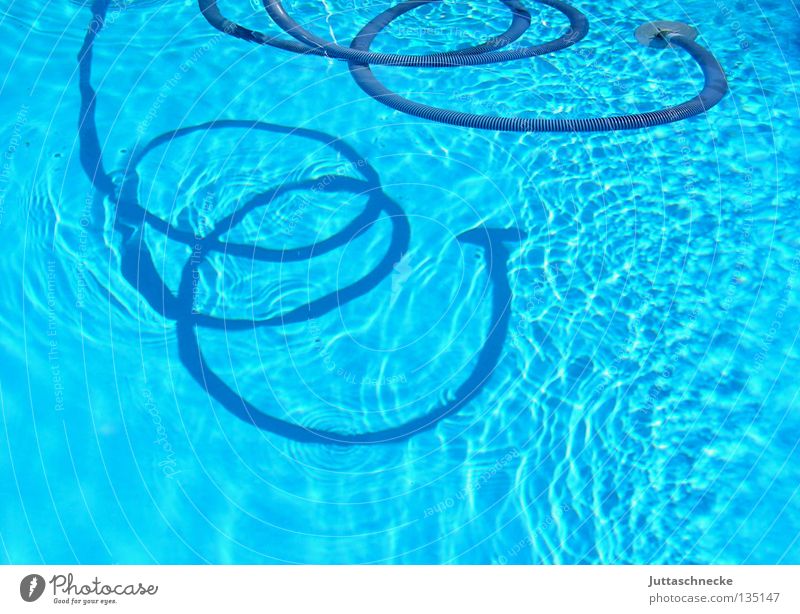 sea snake Hose Swimming pool Suck Cleaning Turquoise Bend Spring Summer Leisure and hobbies Vacuum pool Shadow Water Blue Rotate curled Garden Juttas snail