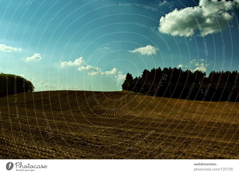 Field in spring Mecklenburg-Western Pomerania Arable land Brown Tree Forest Clouds Spring Autumn Plow Tractor track Landscape Earth Floor covering Sky