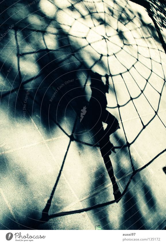 arachnoid Spider Playground Child spider's web urge to move superheroes Net black widow