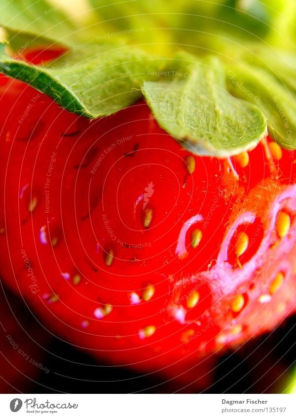 A strawberry Colour photo Interior shot Studio shot Close-up Detail Macro (Extreme close-up) Food Fruit Dessert Jam Nutrition Organic produce Vegetarian diet