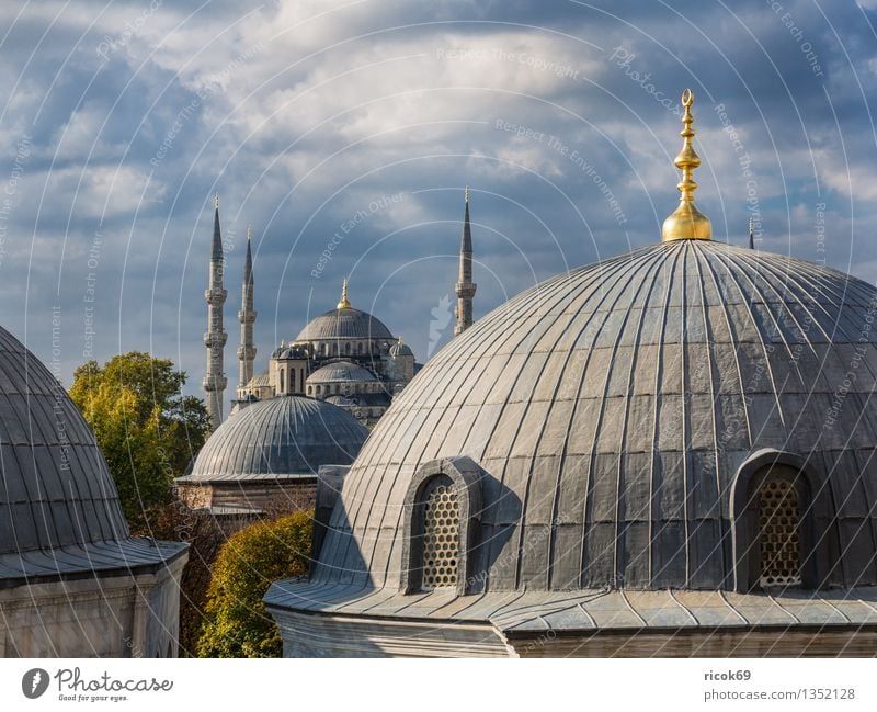 mosque Vacation & Travel Tree Town Tower Manmade structures Building Architecture Tourist Attraction Landmark Idyll Religion and faith Tourism Istanbul Turkey