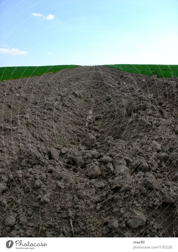 Lonely Field Green Brown Meadow Spring Summer Sky Tractor track