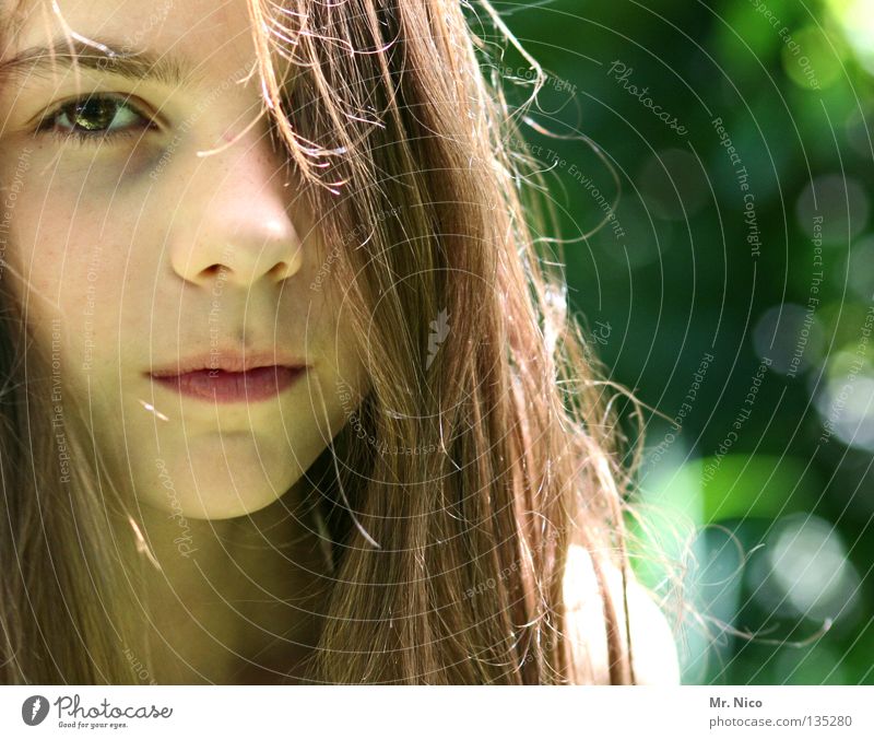 transparency Girl Concealed One-eyed Long-haired Brown Facial expression Neutral Watchfulness Timidity Earnest Impassive Vista Looking portrait Green Half Child