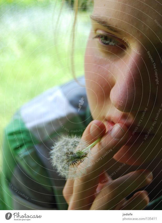 Smoking endangers your health! Flower Dandelion Woman Girl Feminine Fingers Hand Shirt Blouse Past Quit Dependence Calm Healthy Human being Eyes Nose Mouth