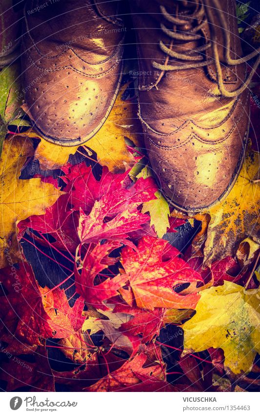 Old shoes on colourful autumn leaves Lifestyle Style Design Garden Human being Woman Adults Nature Autumn Rain Plant Tree Leaf Park Forest Fashion Boots Retro