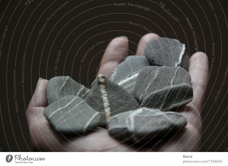 rhinestone Hand Fingers Stone Stripe To hold on Gray White Collection Pebble vein Indicate Multiple Discovery Colour photo Subdued colour Interior shot Close-up