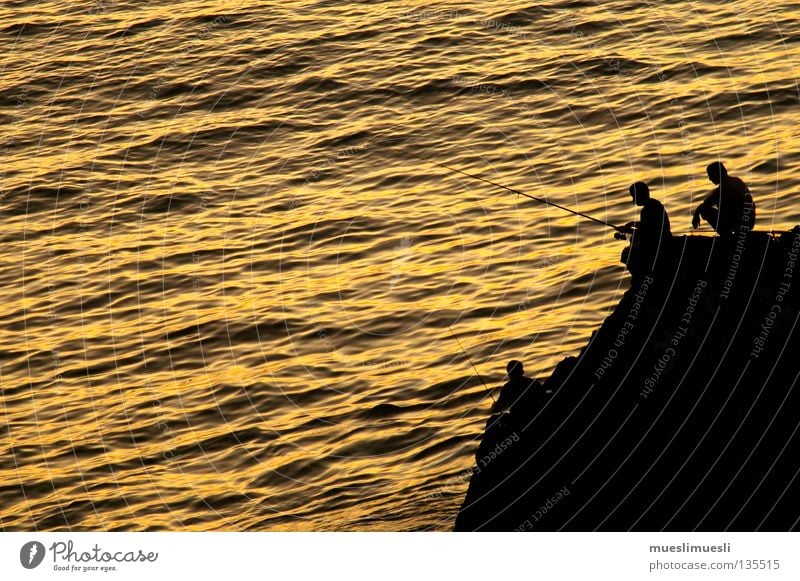 fisherman's friends Fisherman Sunset Cliff Coast Man Evening Dark Romance Night Ocean Madeira Portugal Loneliness Yellow Black Sunrise Fishing (Angle)