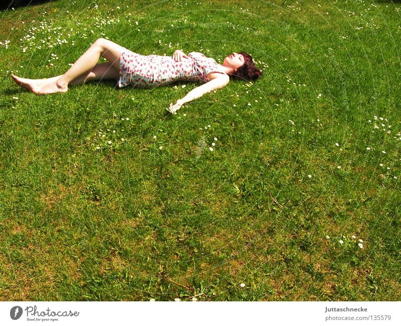 No ant Woman Grass Meadow Summer Summer dress Flower Fatigue Relaxation To enjoy Harmonious Pleasant Peace Lie lie around roll around Lawn. garden Comfortable