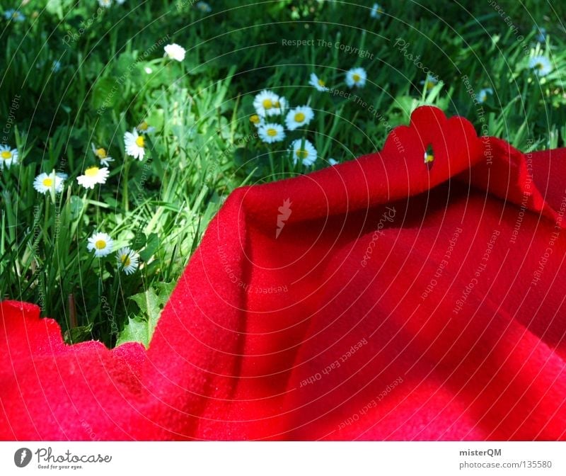 Picnic. Want to come up on my blanket? Summer Physics Red Bang Gaudy Crazy Colour Strong Green Nature Free Freedom Open-air swimming pool Lake Baggersee Pond