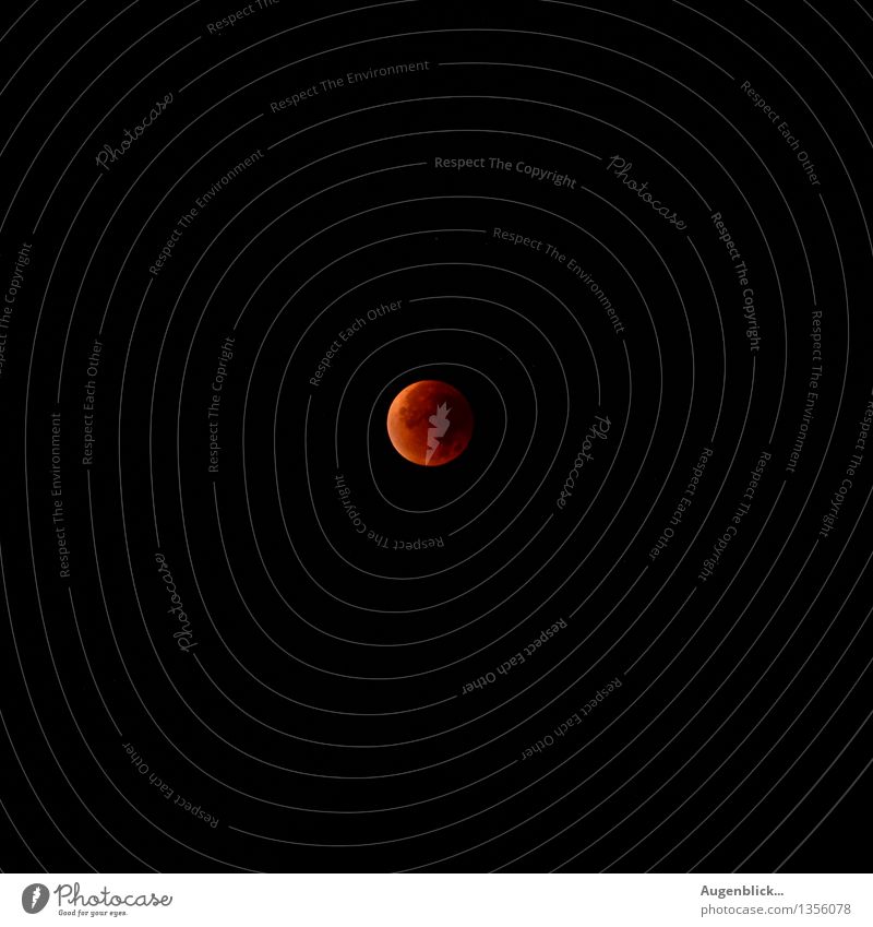 Earth satellite in rare view... Cloudless sky Moon Lunar eclipse Autumn Beautiful weather Glittering Looking Wait Far-off places Large Infinity Above Round