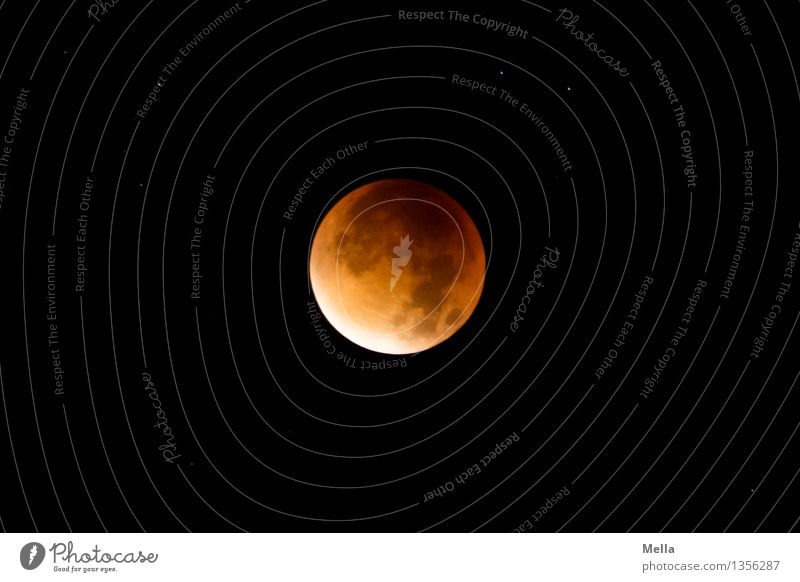 Mellas Mofi 2015 Environment Nature Sky Night sky Stars Moon Lunar eclipse Exceptional Threat Dark Natural Round Orange Red Black Moody Popular belief