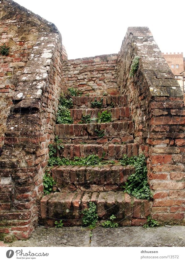 Stone staircase in Sienna (Italy) Brick Red Overgrown Derelict Masonry Architecture Stairs Old eddy growth Siena Loneliness