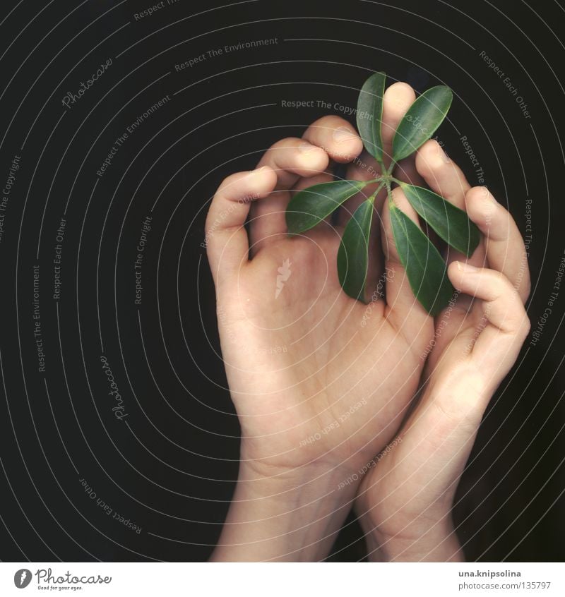 .leaf Hand Fingers Nature Plant Line Touch Green Emotions Delicate Caresses Intuition Fingerprint Tracks Scanner Photographic technology fingertips other