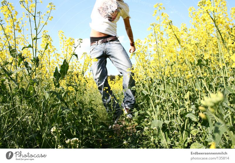 Headless into the world Man Oilseed rape oil Summer Field Jump Green Showing one's bellybutton Fantastic Joy Guy flower field jeands Freedom Blue Sky Blue sky